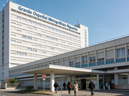 Niguarda primo ospedale italiano nella classifica World's Best Hospital TiSOStengo.com