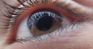 occhio castano, retina