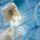 dna, genetica