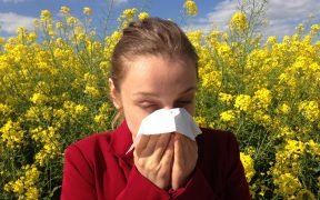 allergie