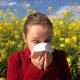 allergie