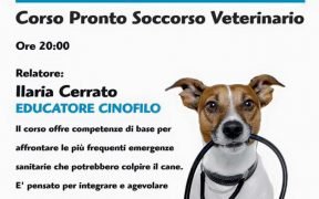 pronto soccorso veterinario