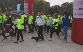 Walking Day 2017 Milano