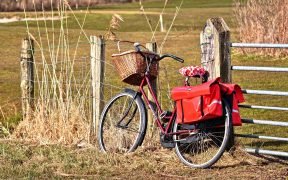 bicicletta nel parco