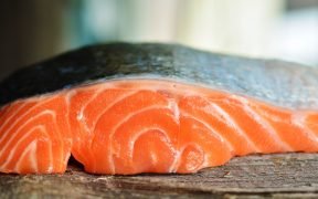 salmone pesce