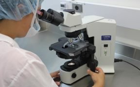 microscopio laboratorio
