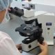 microscopio laboratorio
