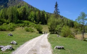 montagna sport mountain bike bici