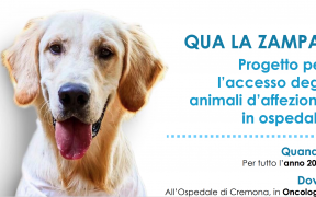 Cremona, cani in oncologia