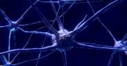 neuroni