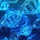 dna, biologia, biogenetica, genetica