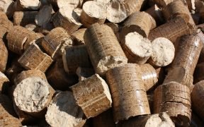 pellet