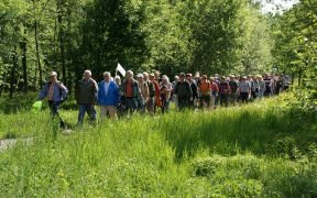 gruppo di cammino, camminata