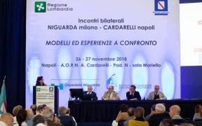 niguarda e cardarelli