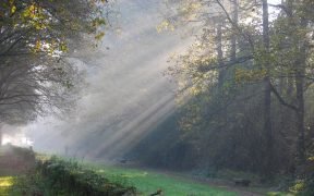 Parco di Monza