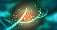 DNA