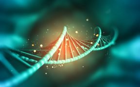 DNA