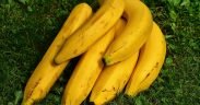 banana, banane