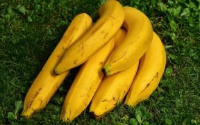 banana, banane