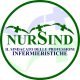 nursind logo