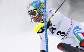 stefano gross