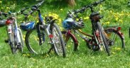bici parco di monza