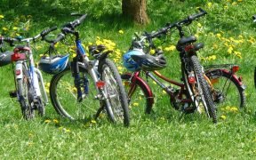 bici parco di monza