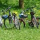 bici parco di monza